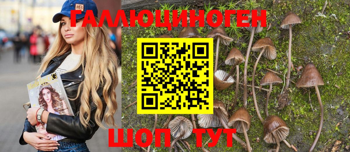 закладки  Псилоцибиновые грибы GOLDEN TEACHER  Учалы  Вход с VPN  Псилоцибиновые грибы MAGIC MUSHROOMS 